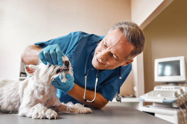 Best Weekend Emergency Dentist in Rustburg, VA